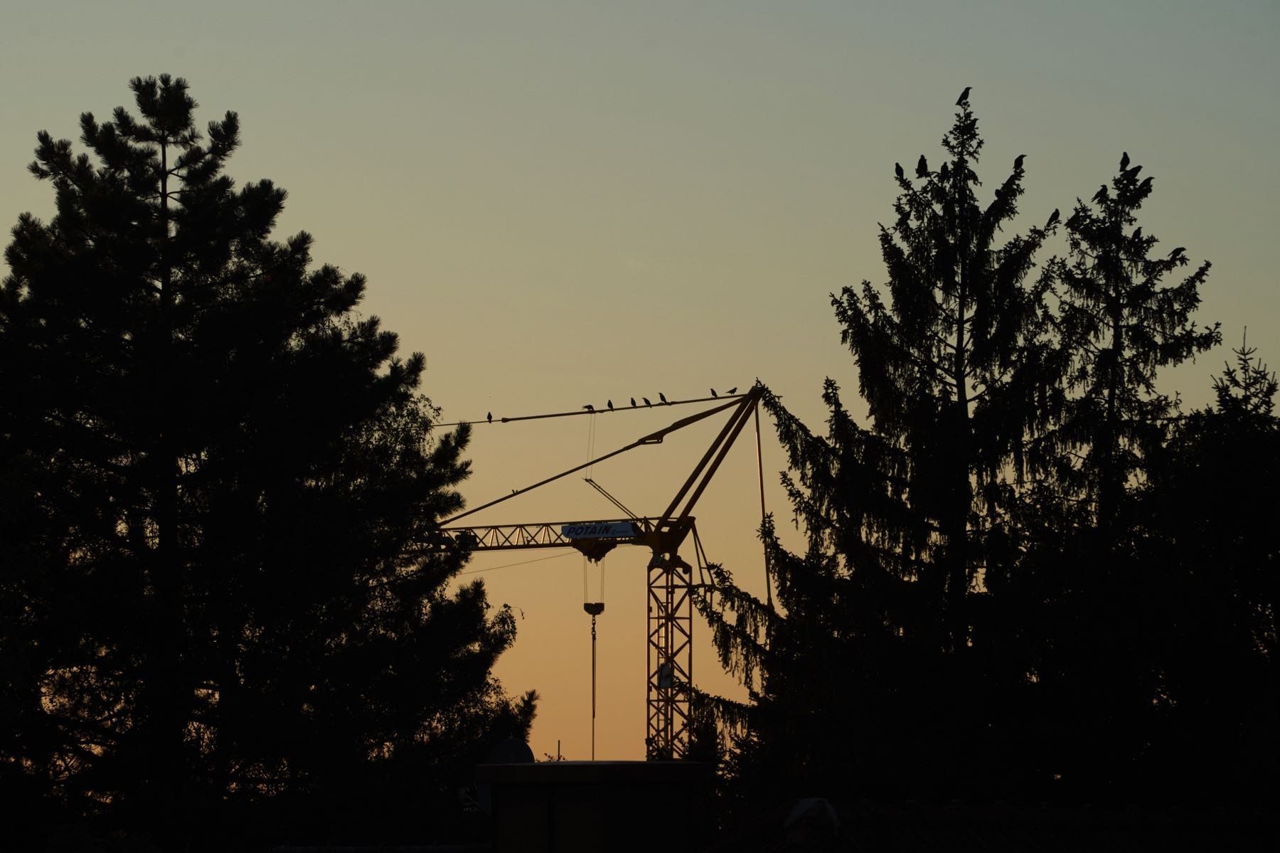 Thomas Willke   Kameramann   München