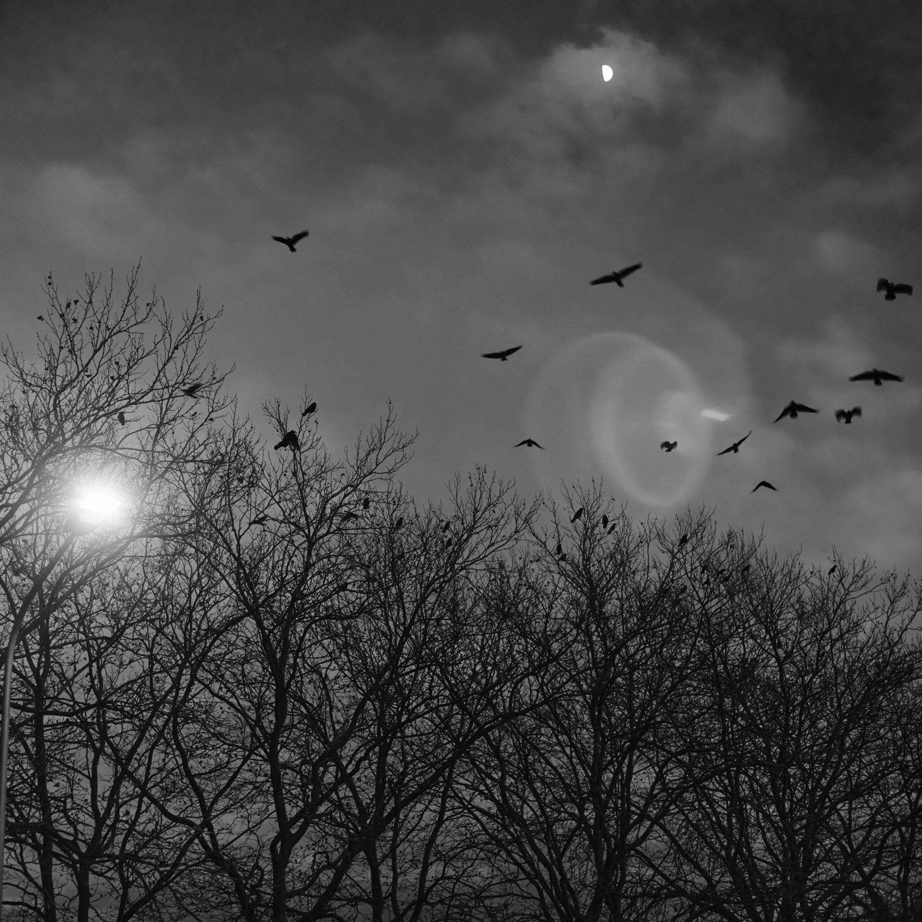 Thomas Willke &nbsp;&nbsp;Kameramann &nbsp;&nbsp;München