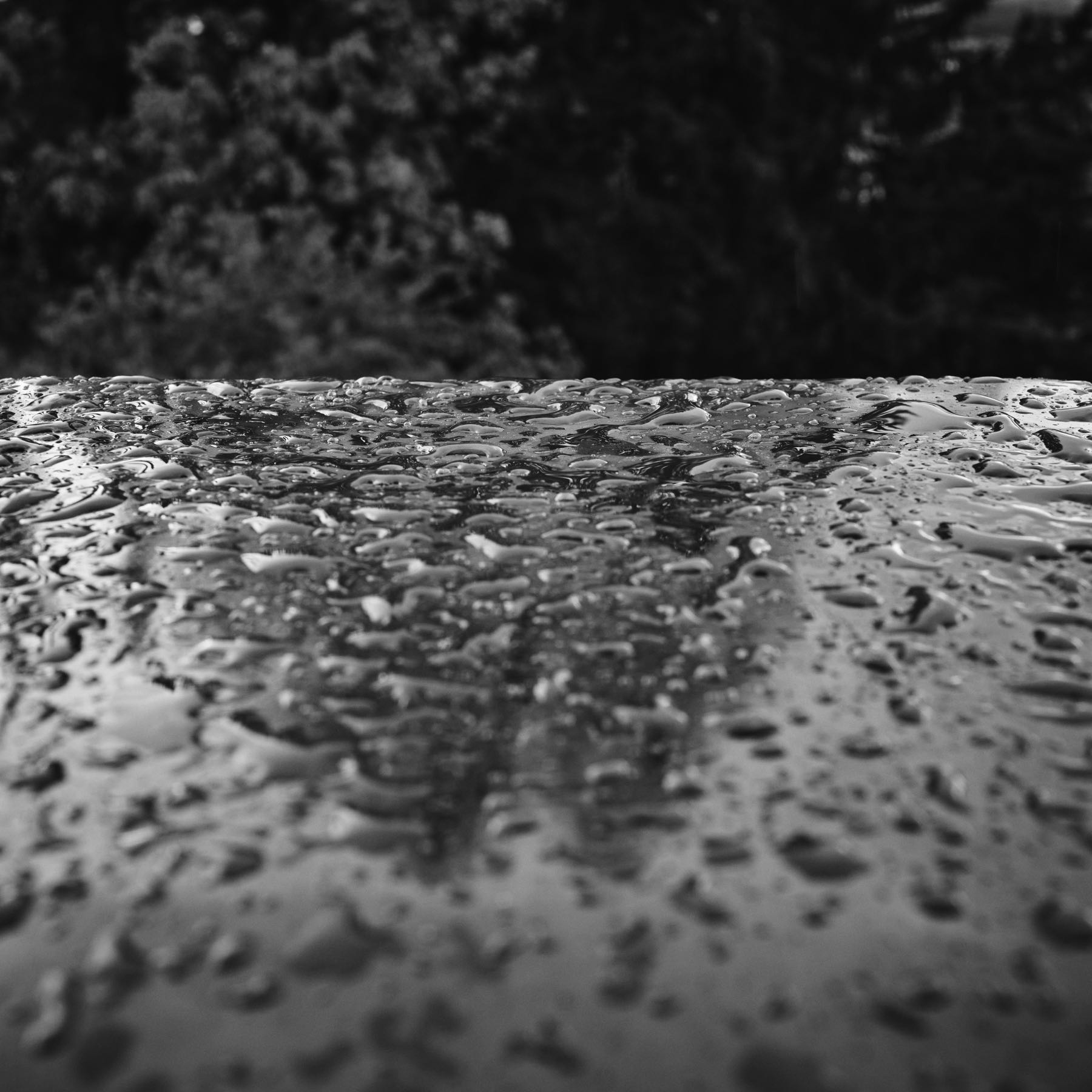 Thomas Willke   Kameramann   München