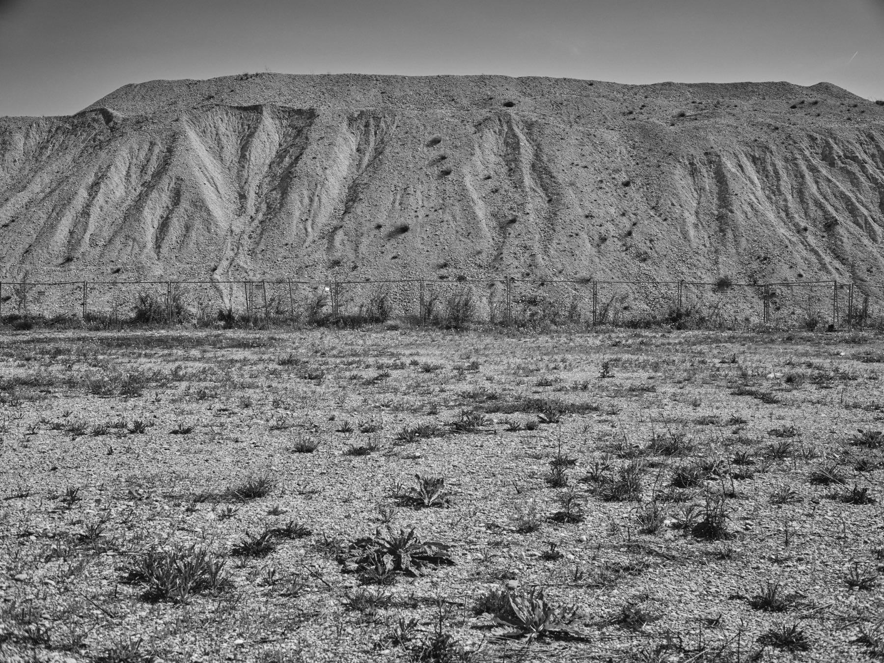 Thomas Willke   Kameramann   München