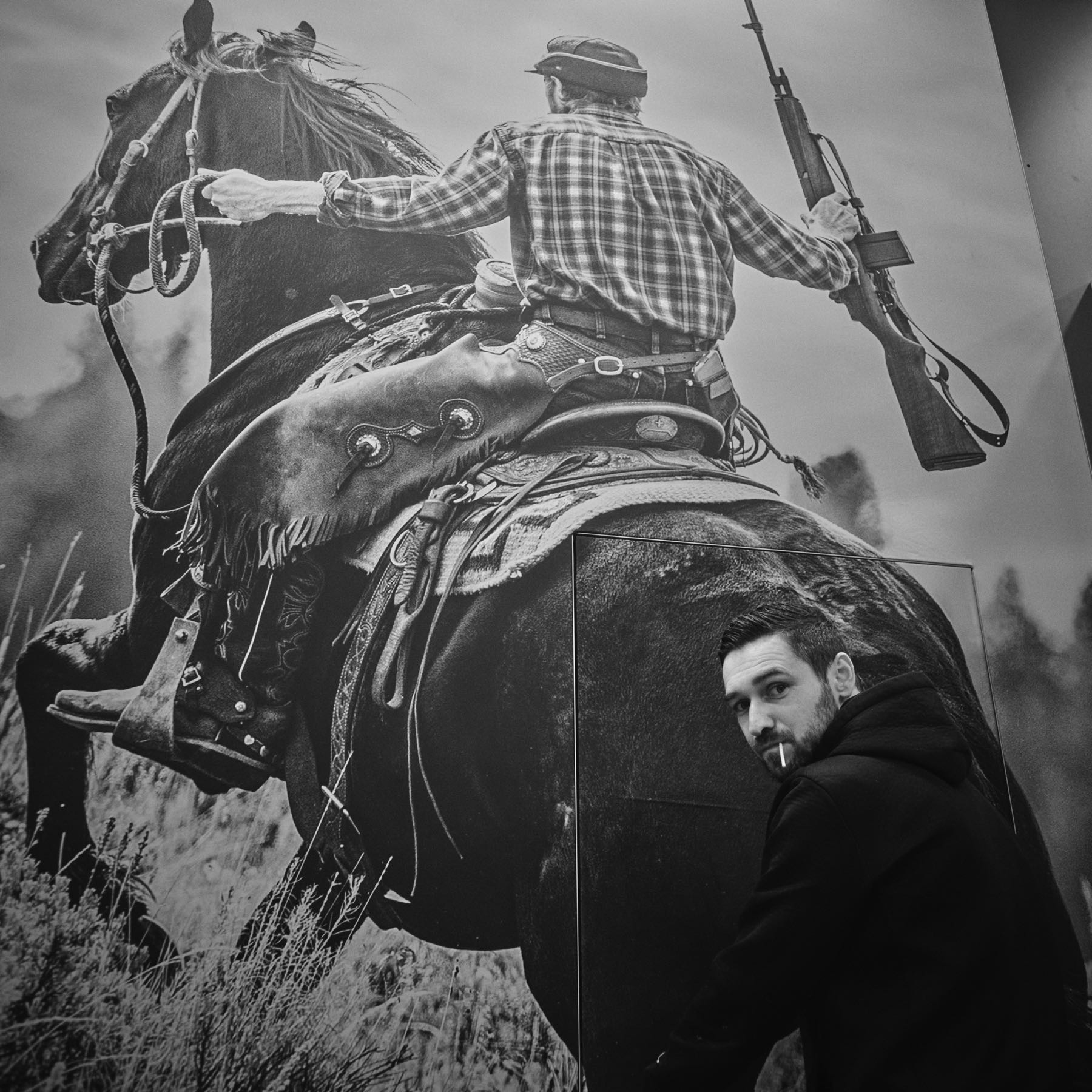 Thomas Willke   Kameramann   München