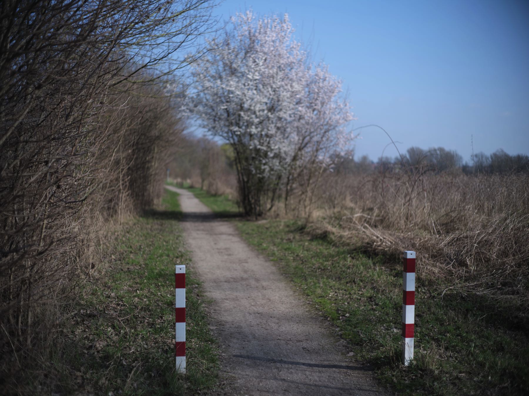 Thomas Willke   Kameramann   München