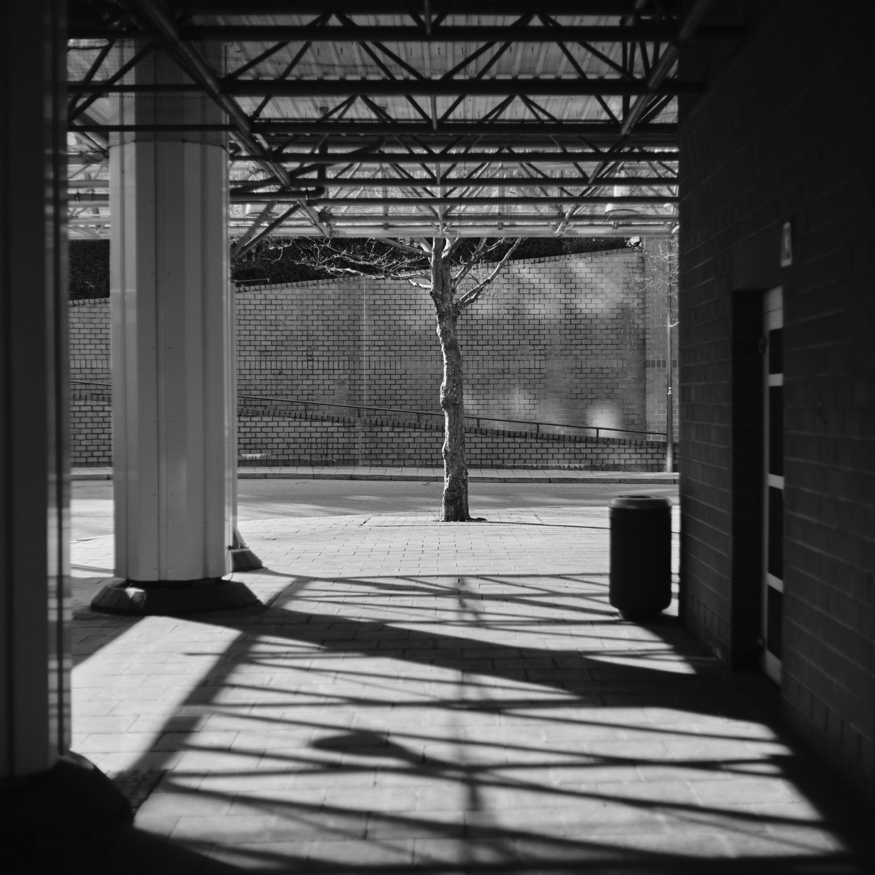 Thomas Willke   Kameramann   München