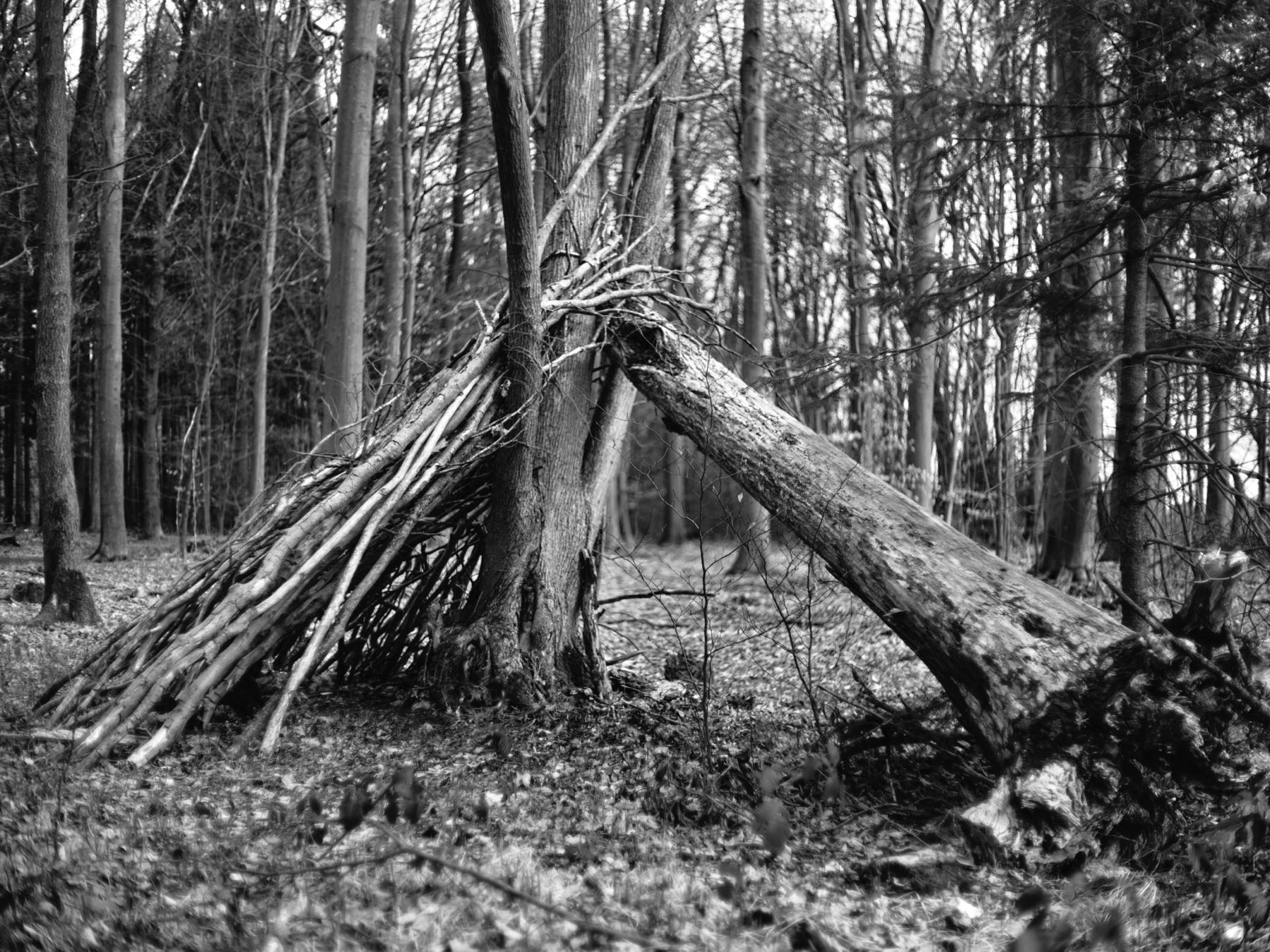 Thomas Willke   Kameramann   München