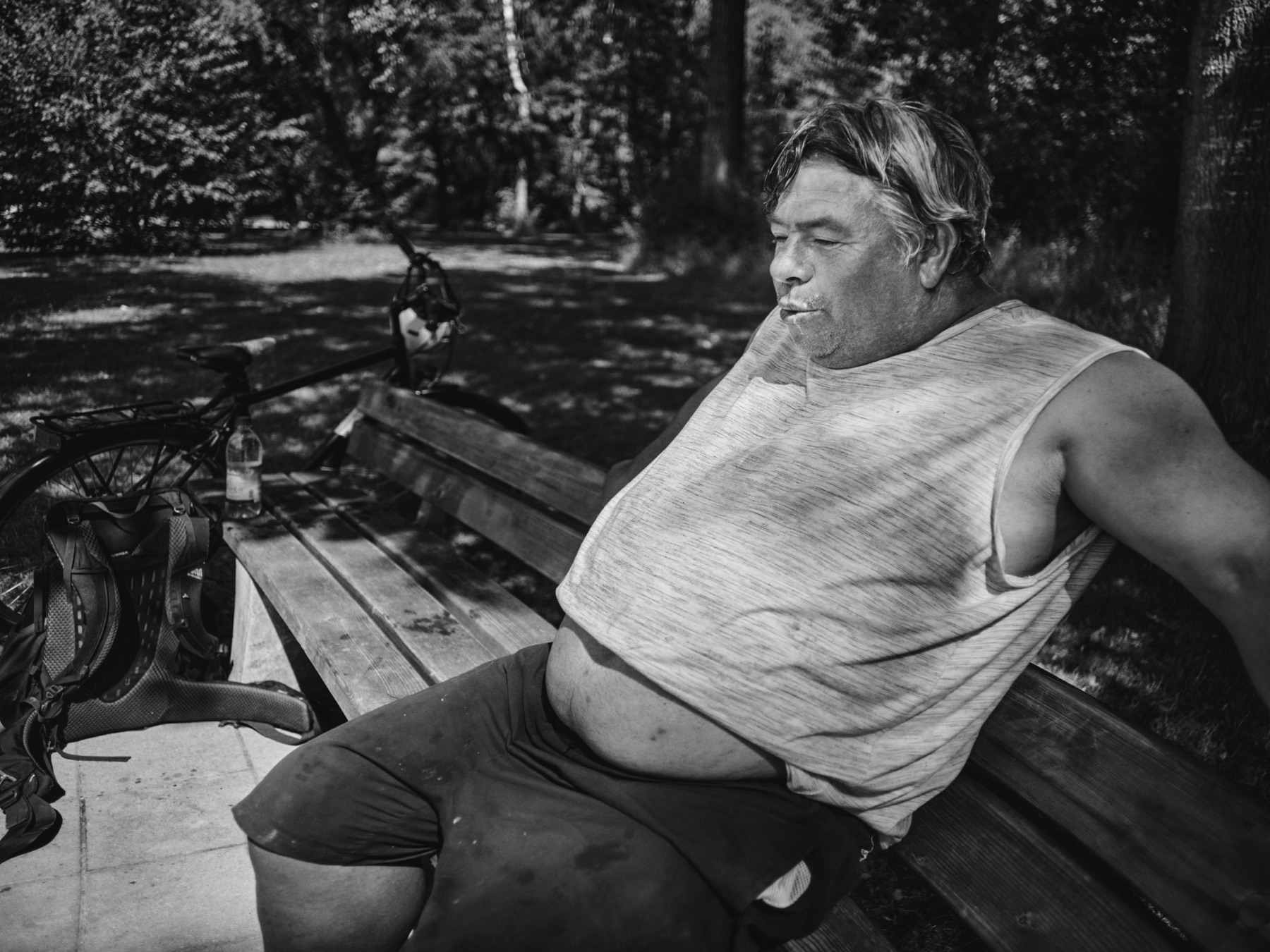 Thomas Willke   Kameramann   München