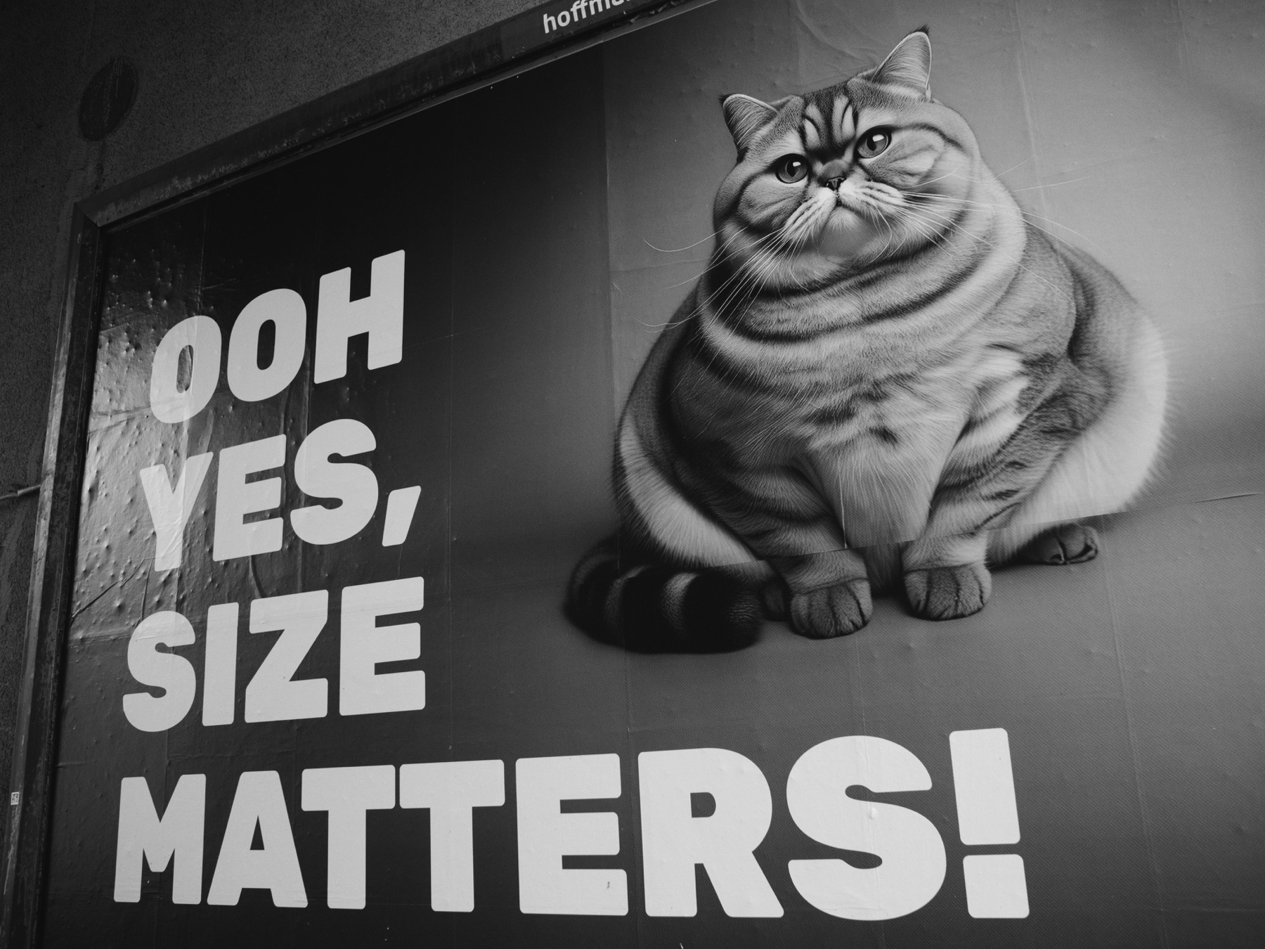 Thomas Willke   Kameramann   München