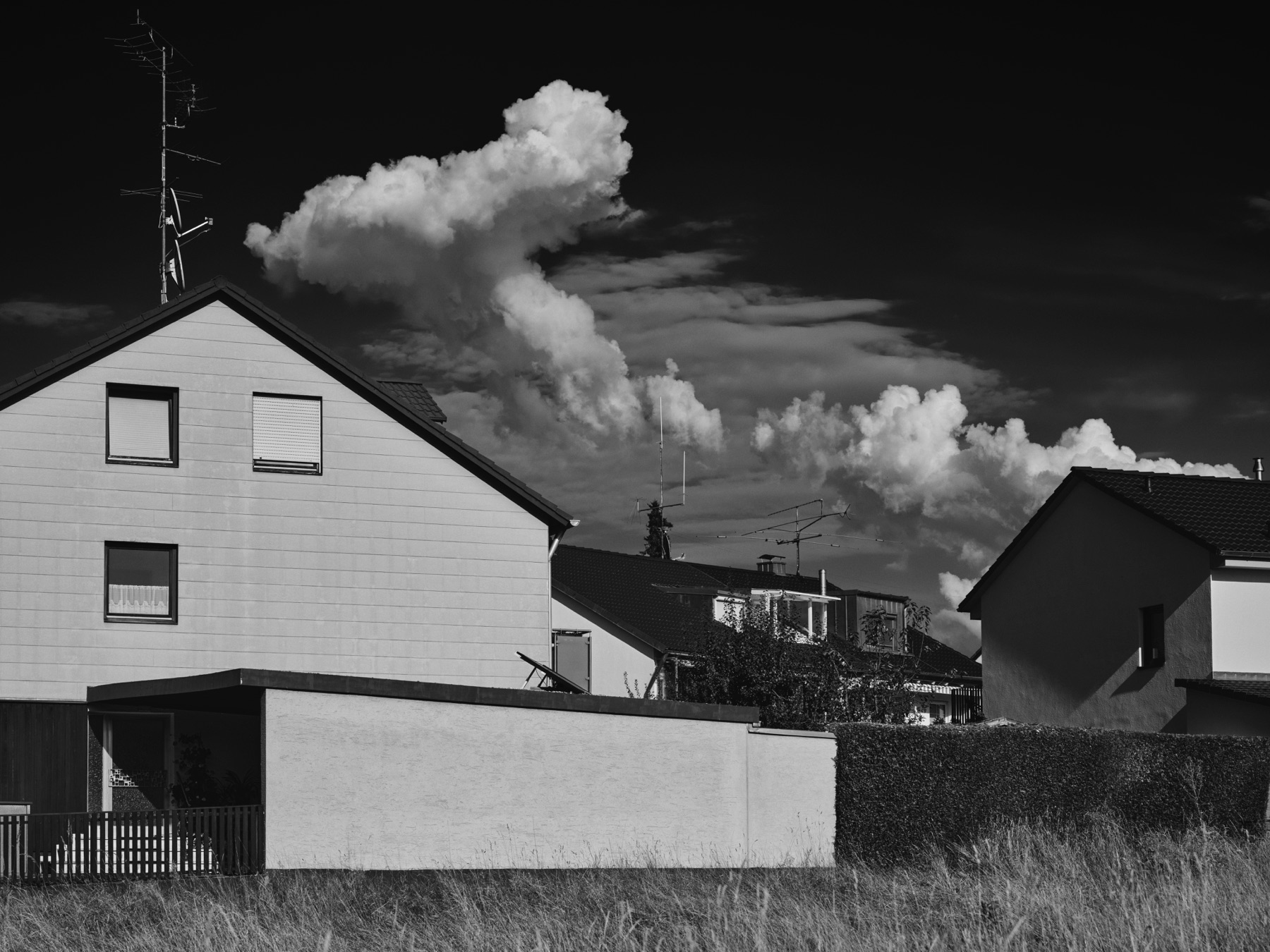 Thomas Willke   Kameramann   München