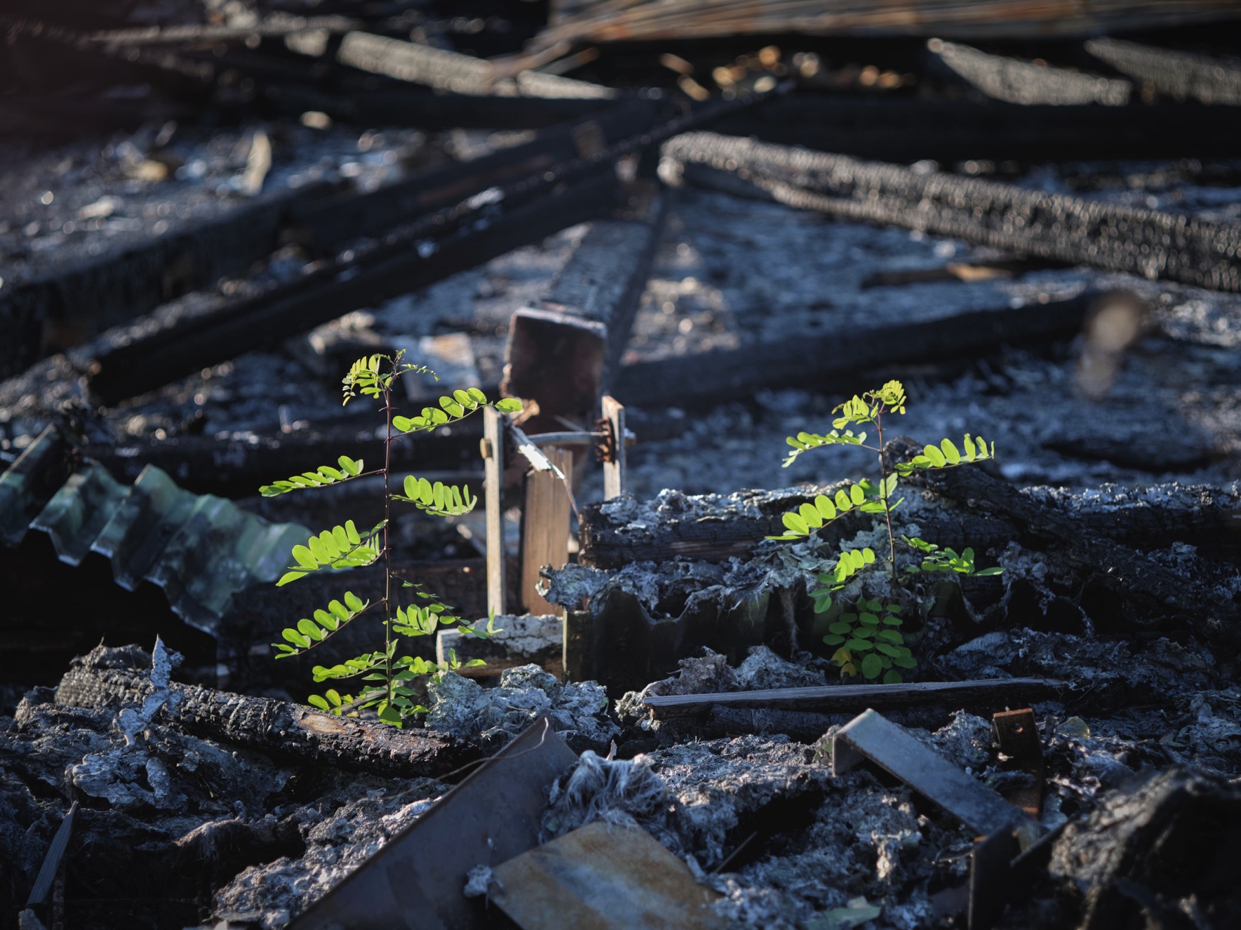 Thomas Willke   Kameramann   München