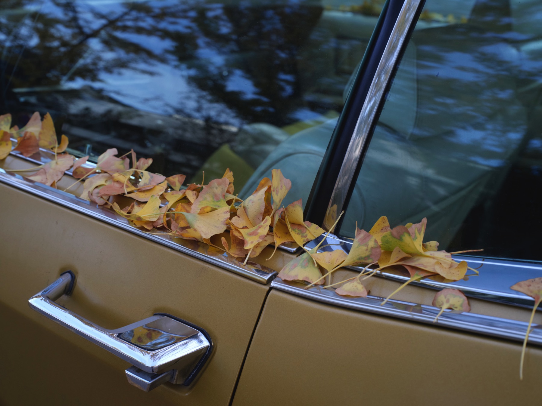 Thomas Willke   Kameramann   München