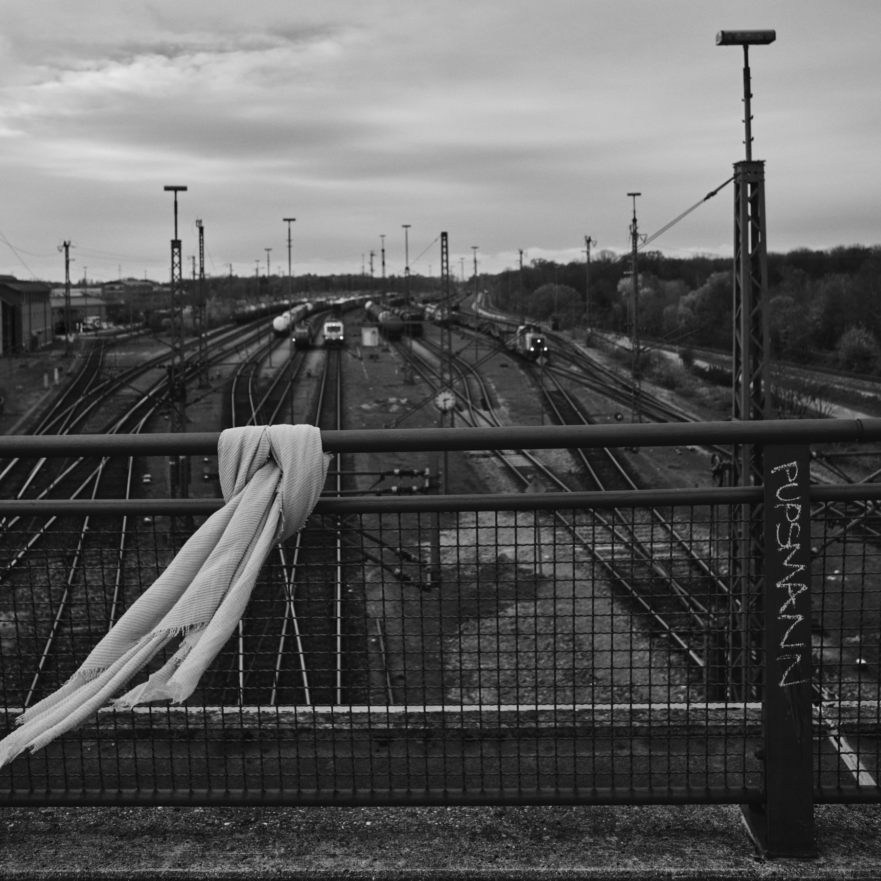 Thomas Willke   Kameramann   München