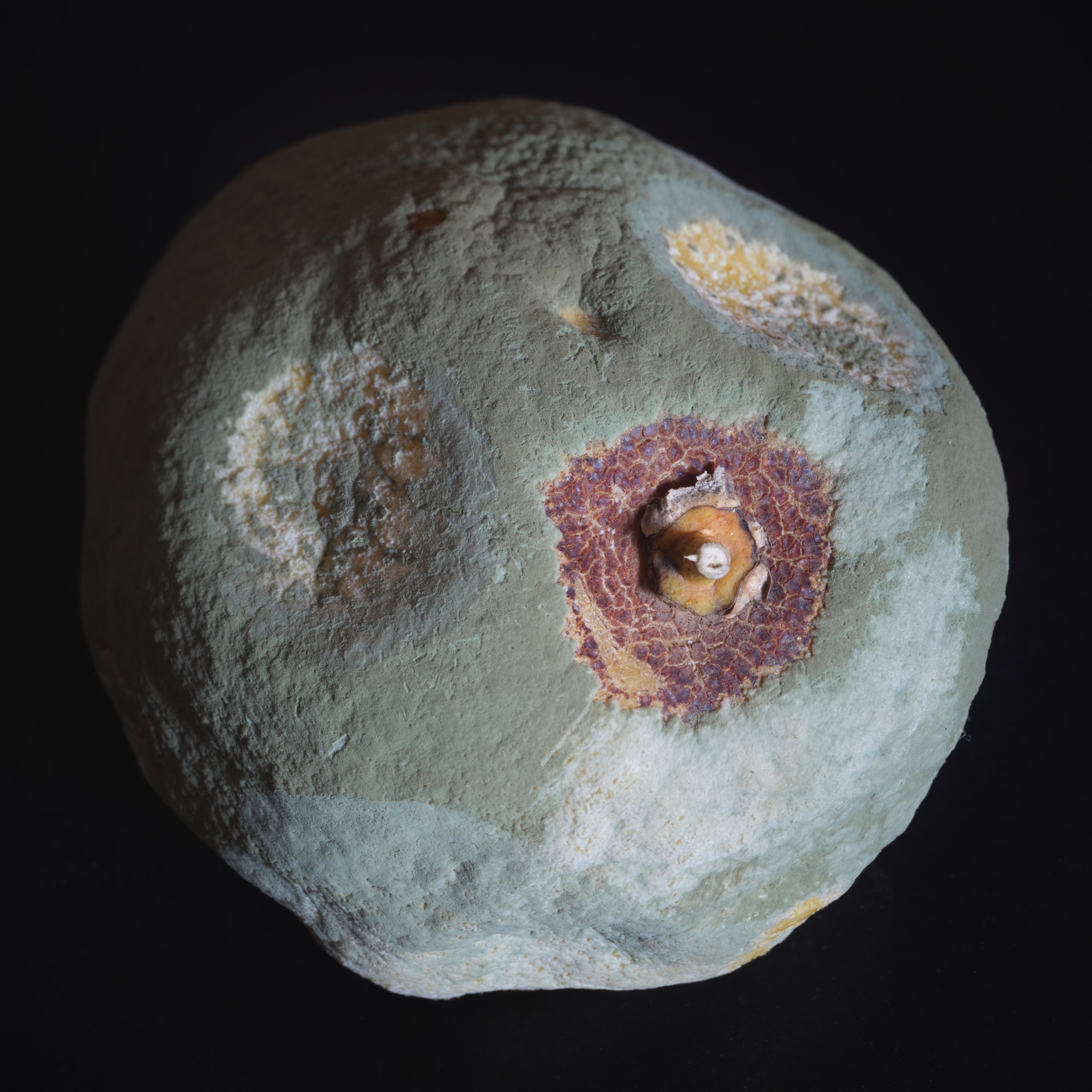 Thomas Willke &nbsp;&nbsp;Kameramann &nbsp;&nbsp;München