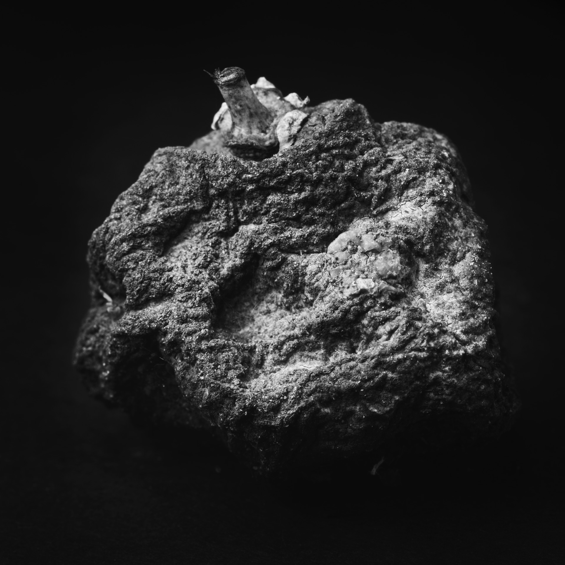 Thomas Willke &nbsp;&nbsp;Kameramann &nbsp;&nbsp;München