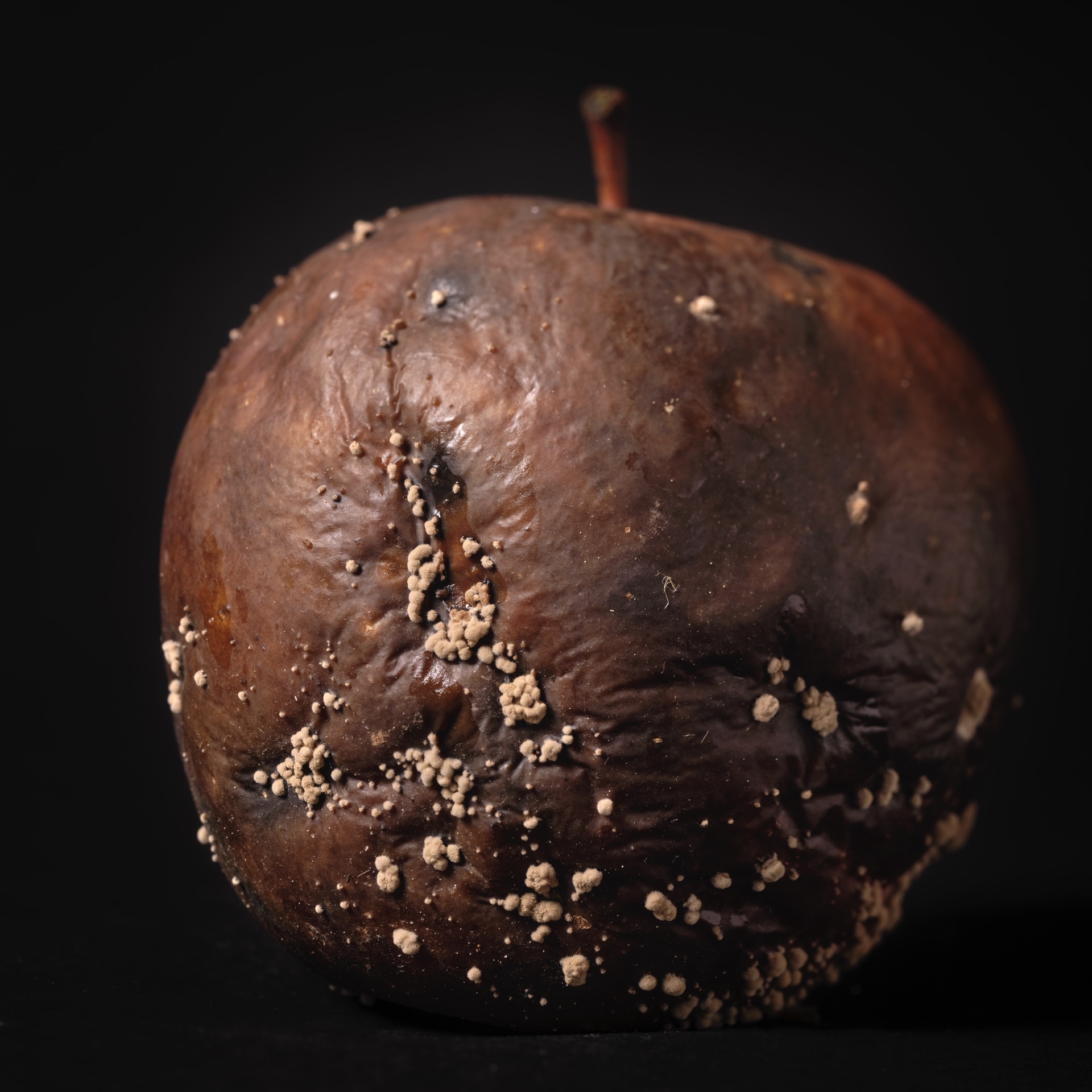 Thomas Willke &nbsp;&nbsp;Kameramann &nbsp;&nbsp;München