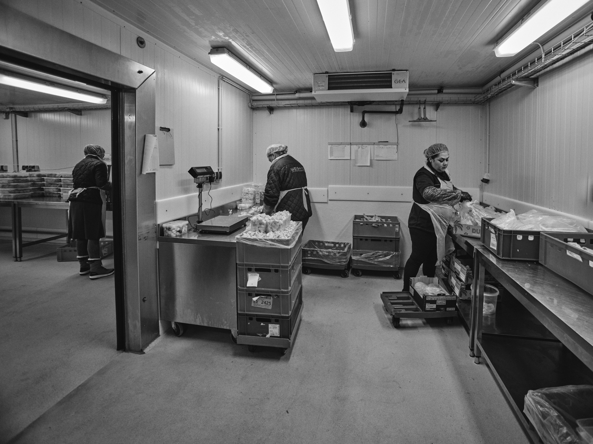 Thomas Willke &nbsp;&nbsp;Kameramann &nbsp;&nbsp;München