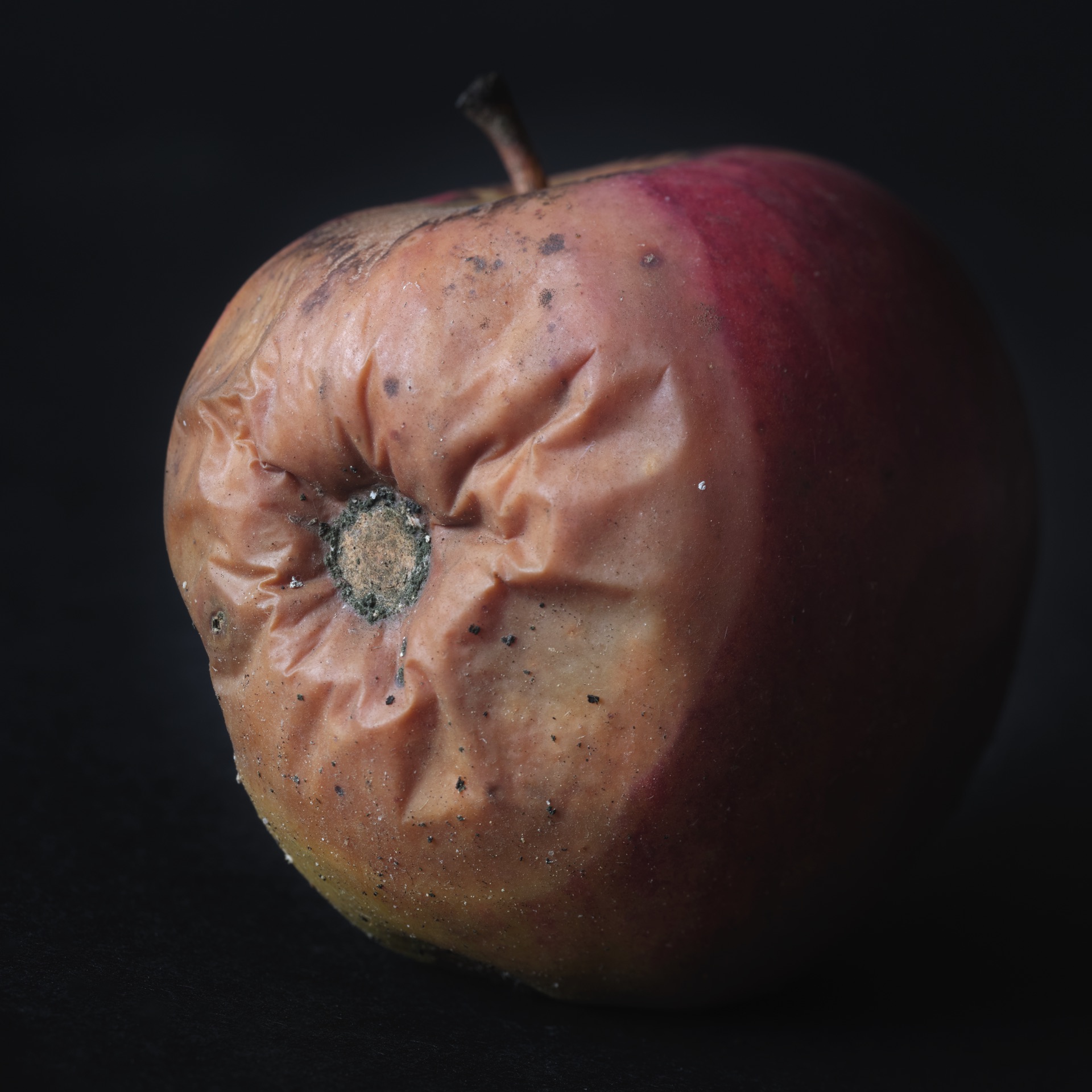 Thomas Willke &nbsp;&nbsp;Kameramann &nbsp;&nbsp;München