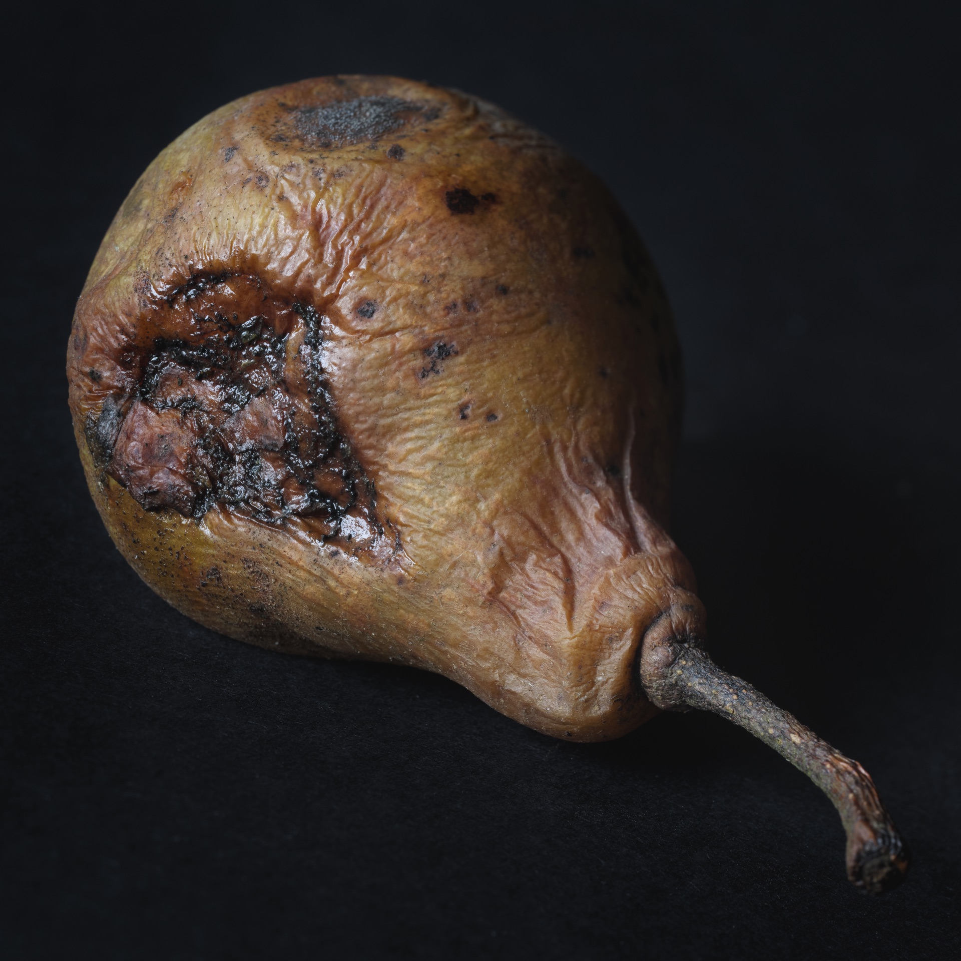 Thomas Willke &nbsp;&nbsp;Kameramann &nbsp;&nbsp;München