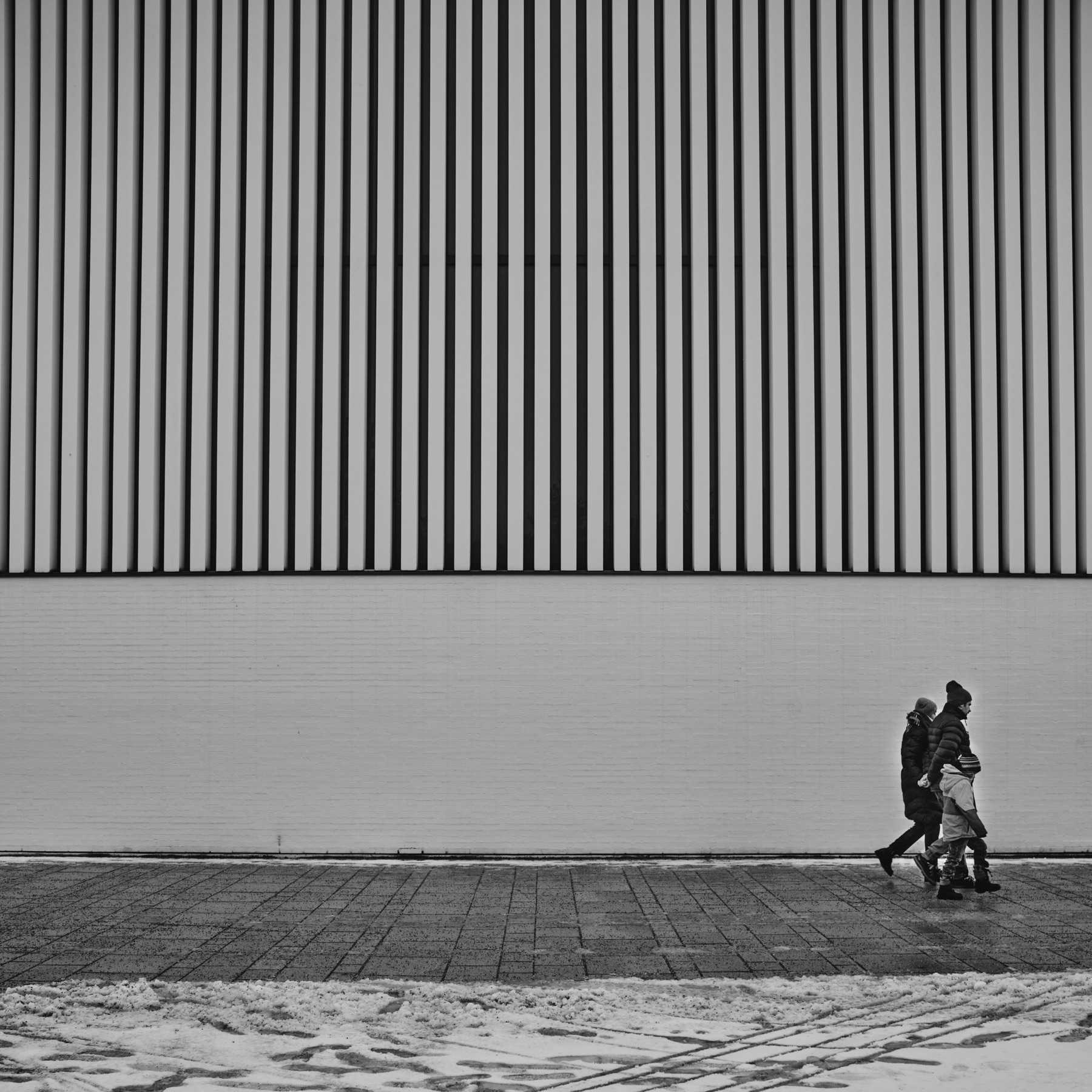 Thomas Willke   Kameramann   München