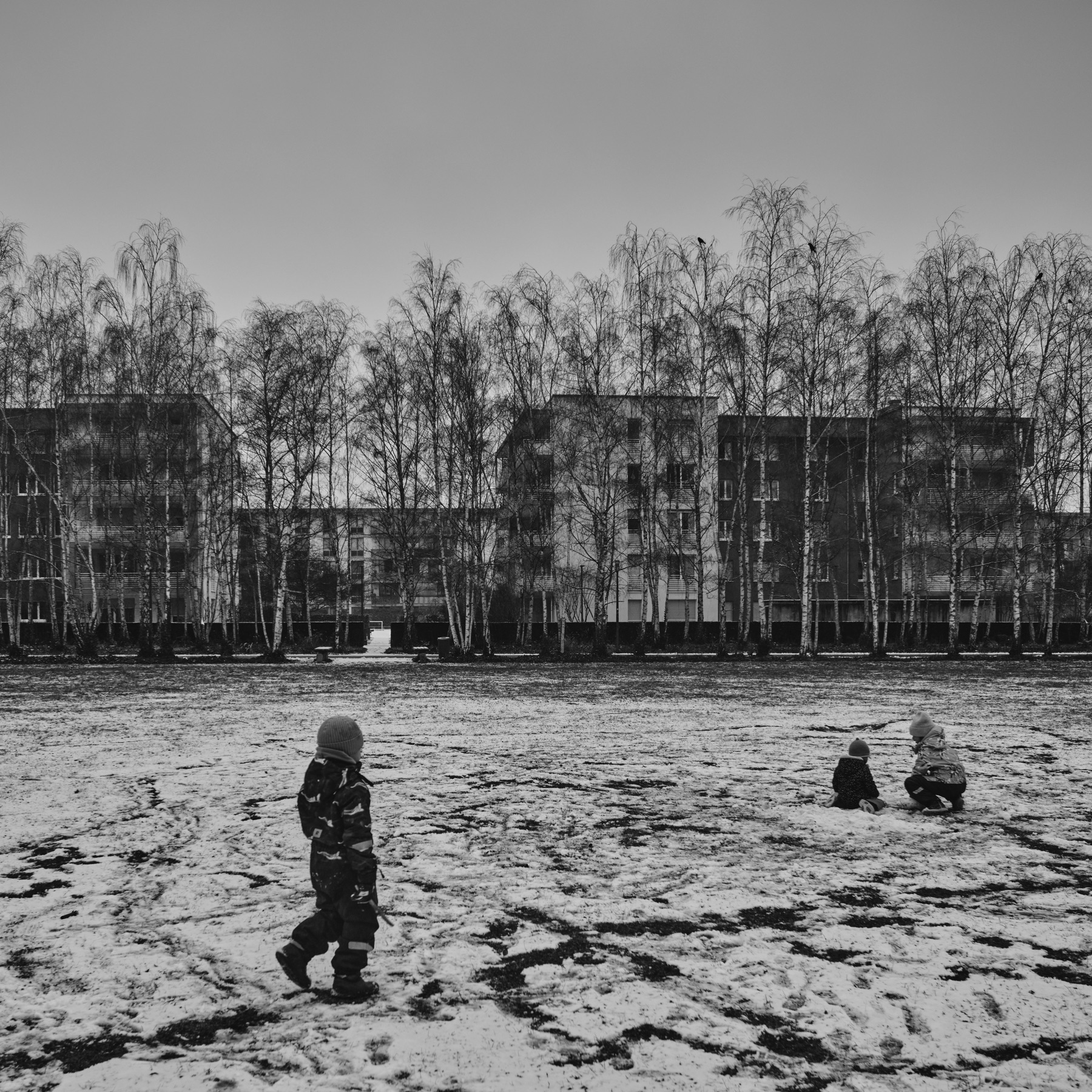 Thomas Willke   Kameramann   München