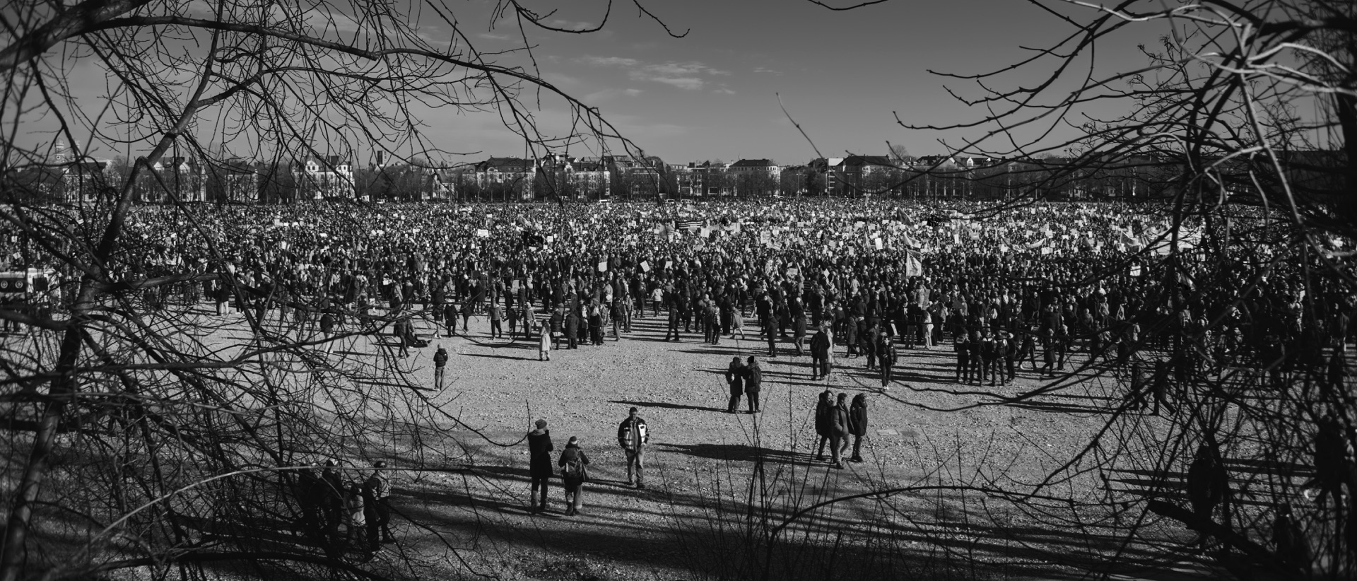 Thomas Willke   Kameramann   München