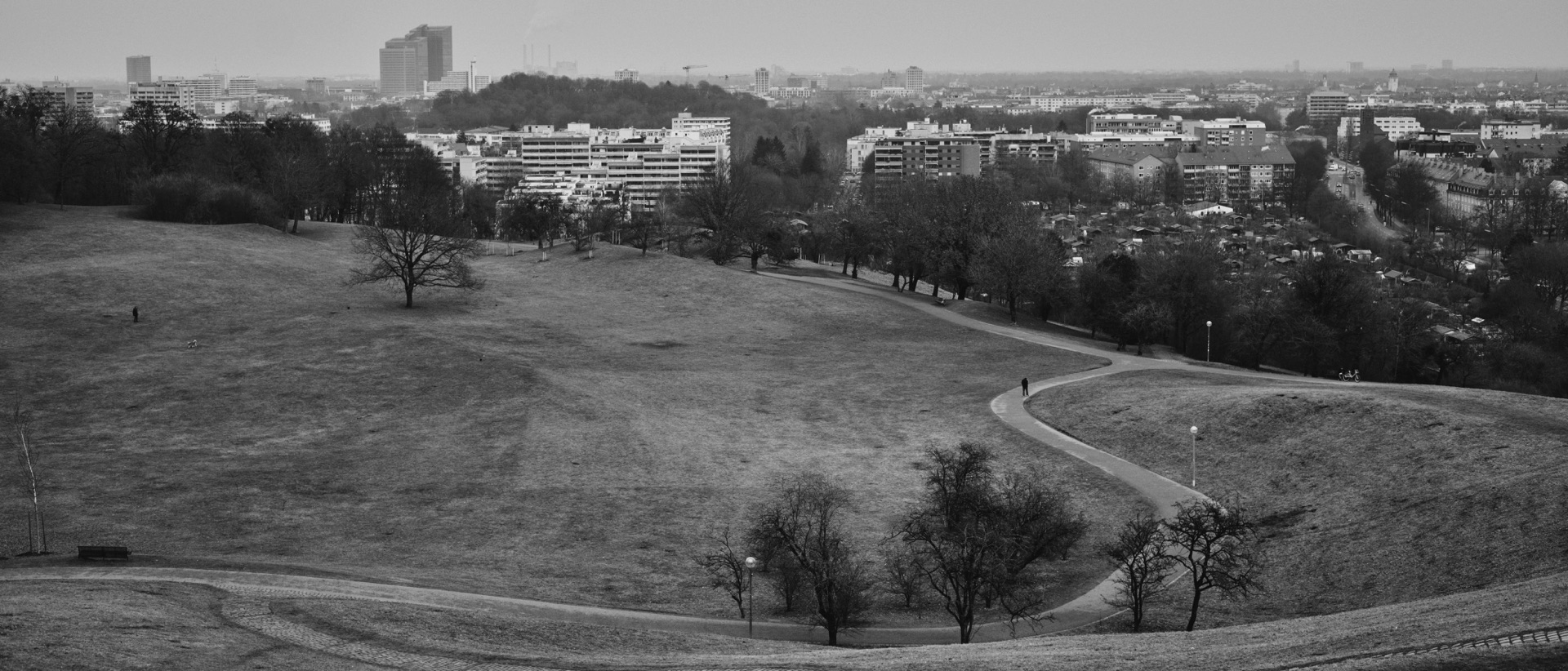 Thomas Willke   Kameramann   München