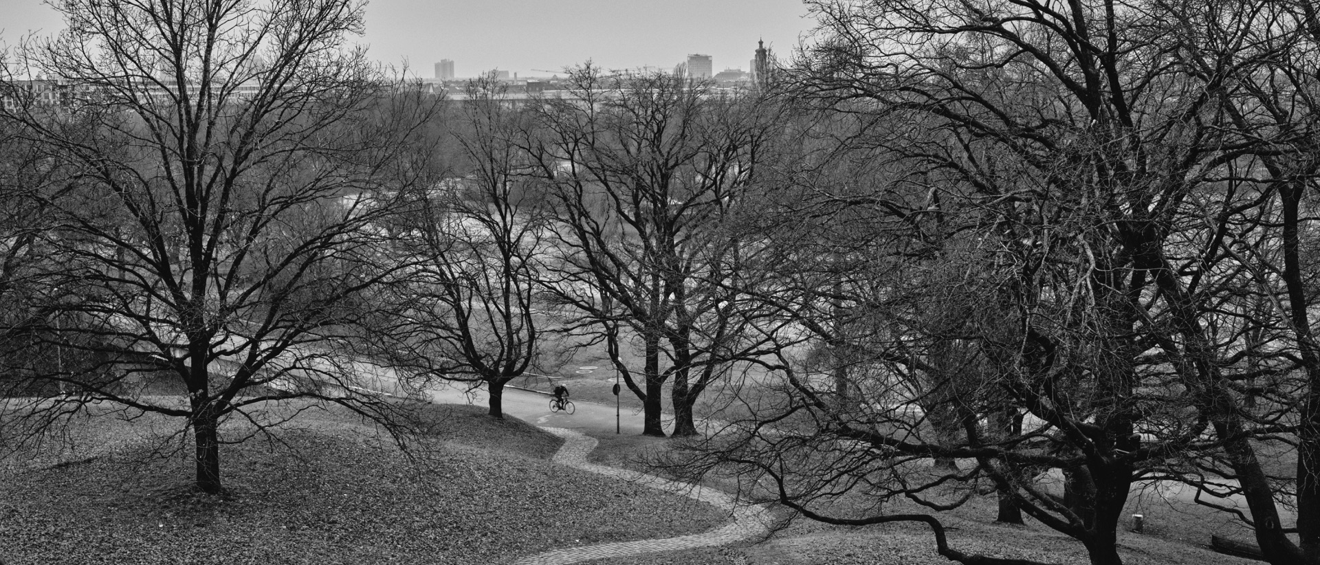 Thomas Willke   Kameramann   München