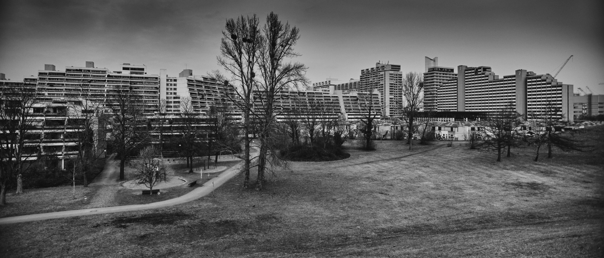 Thomas Willke   Kameramann   München