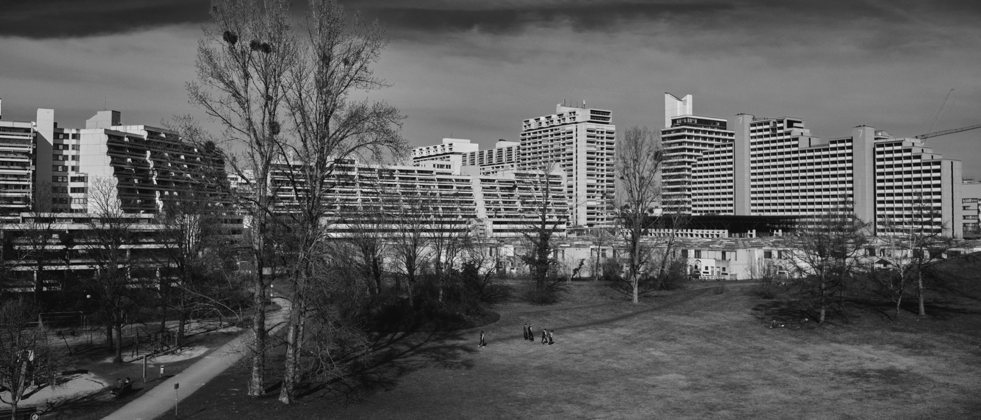 Thomas Willke   Kameramann   München