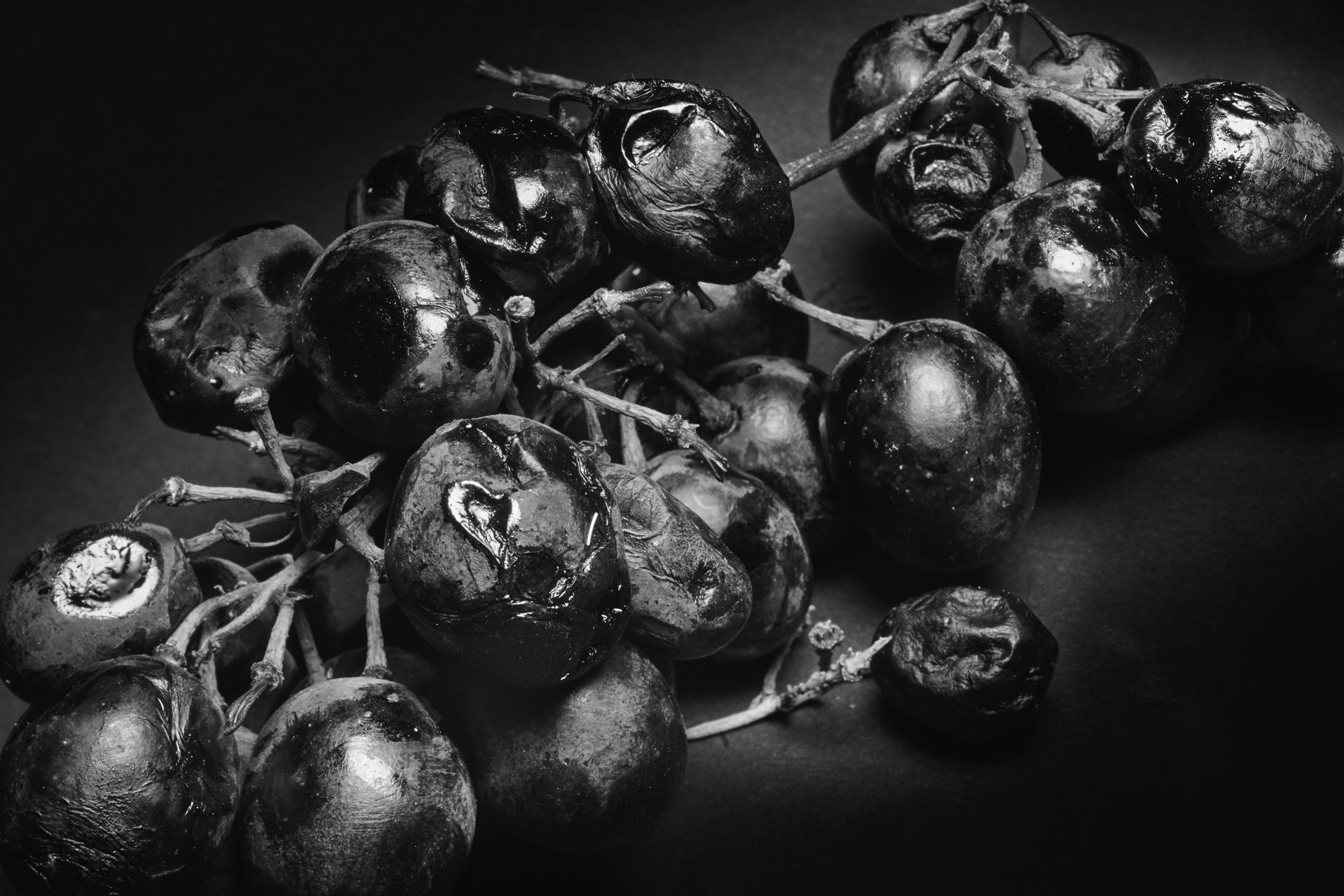 Thomas Willke &nbsp;&nbsp;Kameramann &nbsp;&nbsp;München