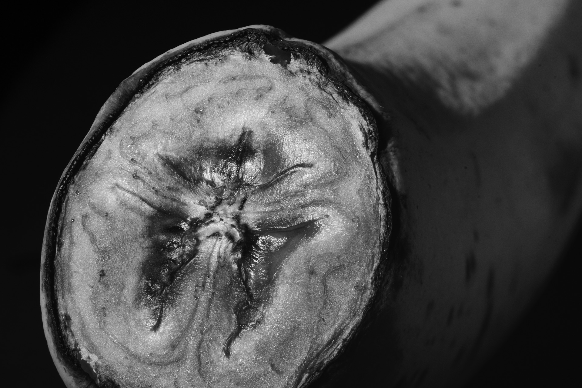 Thomas Willke &nbsp;&nbsp;Kameramann &nbsp;&nbsp;München