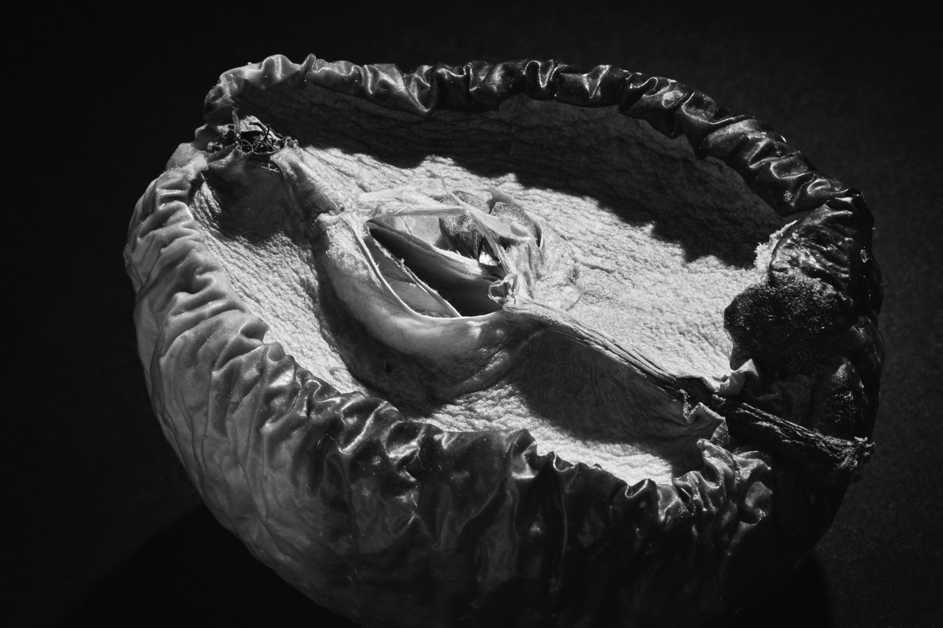 Thomas Willke &nbsp;&nbsp;Kameramann &nbsp;&nbsp;München