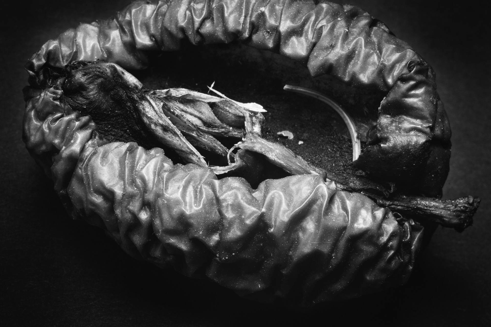 Thomas Willke &nbsp;&nbsp;Kameramann &nbsp;&nbsp;München