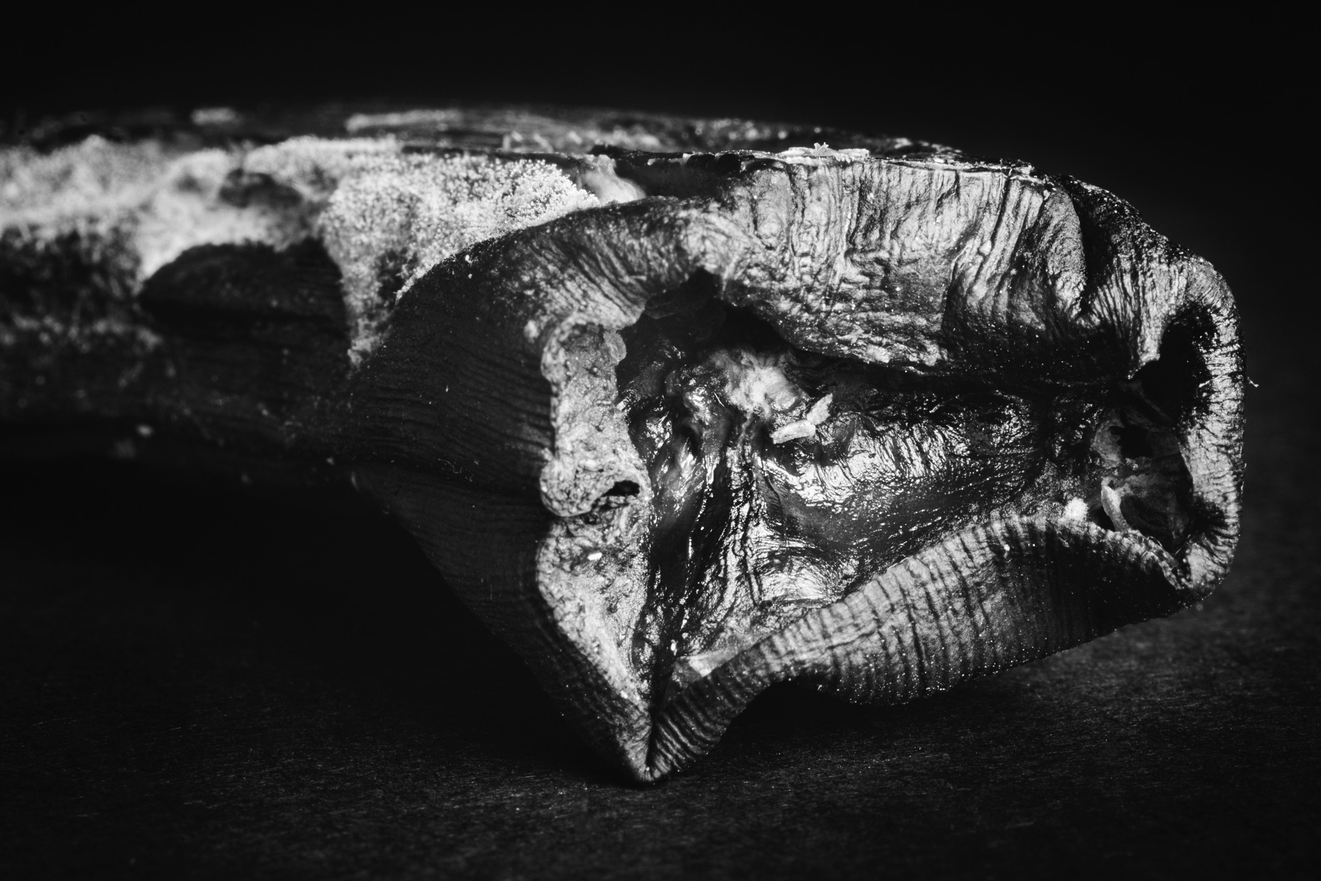 Thomas Willke &nbsp;&nbsp;Kameramann &nbsp;&nbsp;München