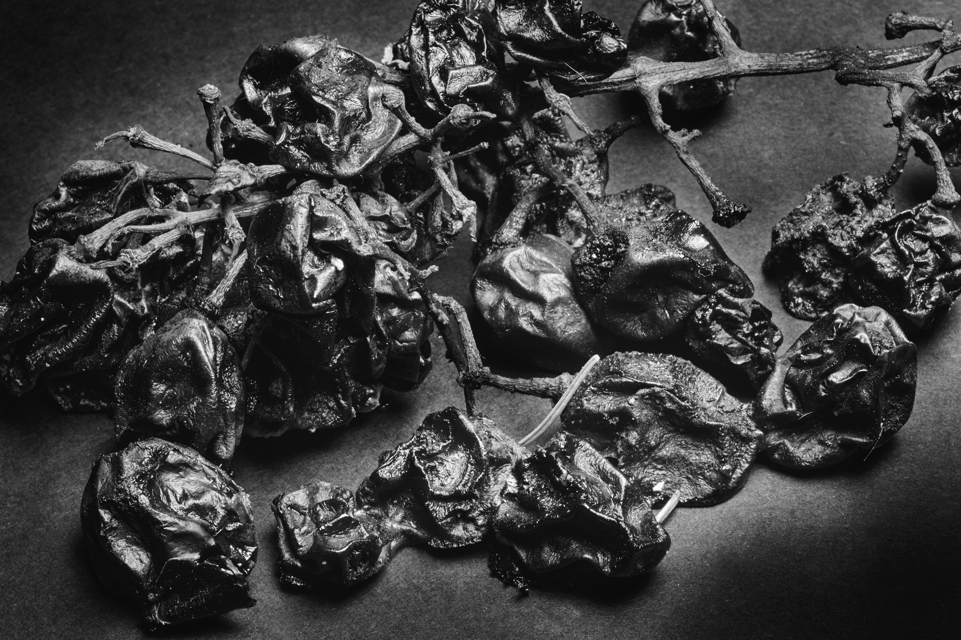 Thomas Willke &nbsp;&nbsp;Kameramann &nbsp;&nbsp;München