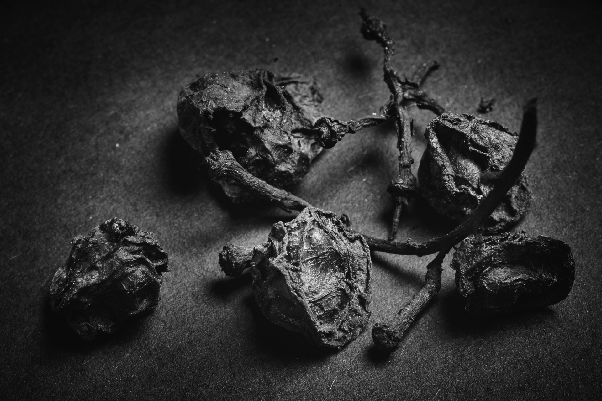 Thomas Willke &nbsp;&nbsp;Kameramann &nbsp;&nbsp;München