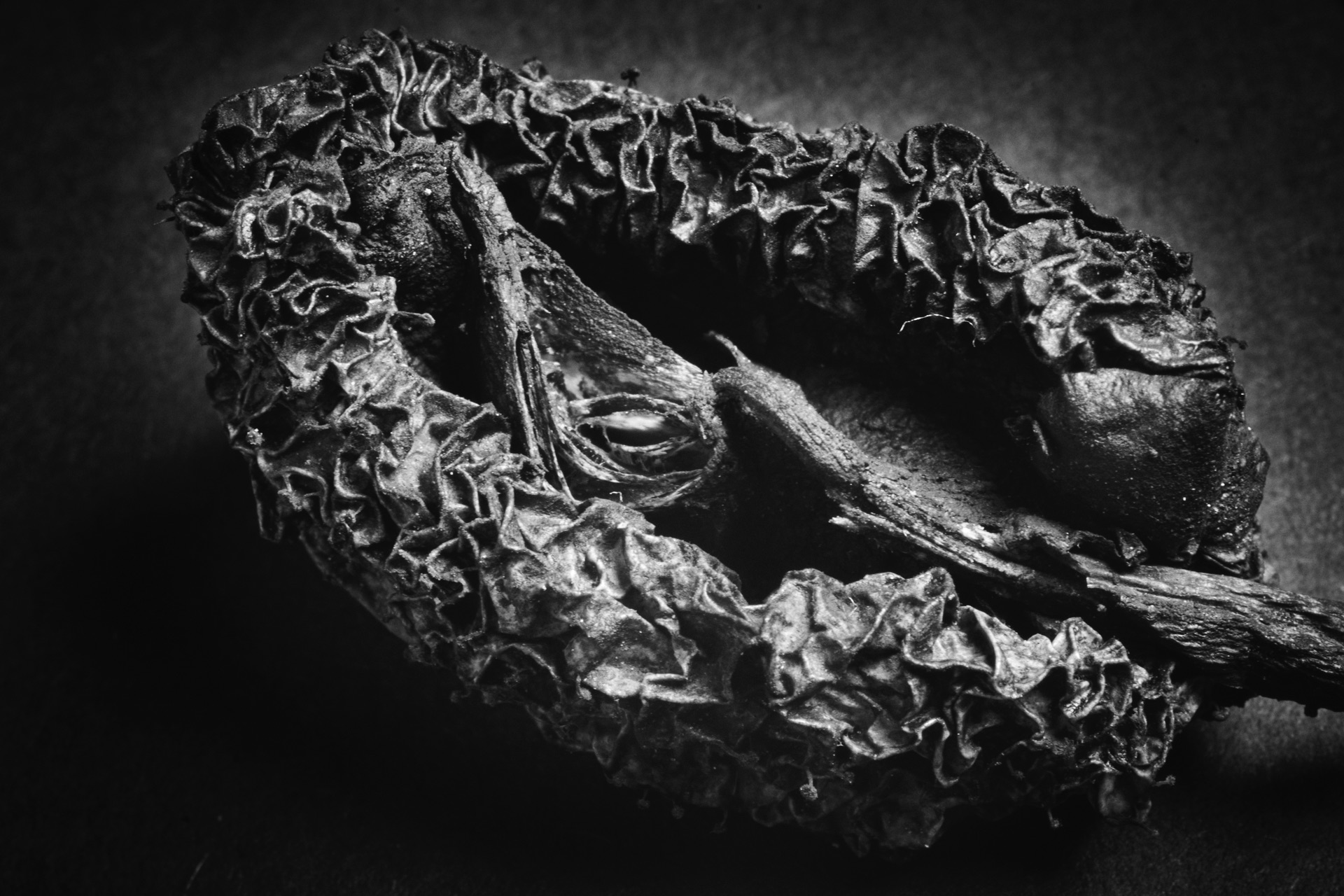 Thomas Willke &nbsp;&nbsp;Kameramann &nbsp;&nbsp;München