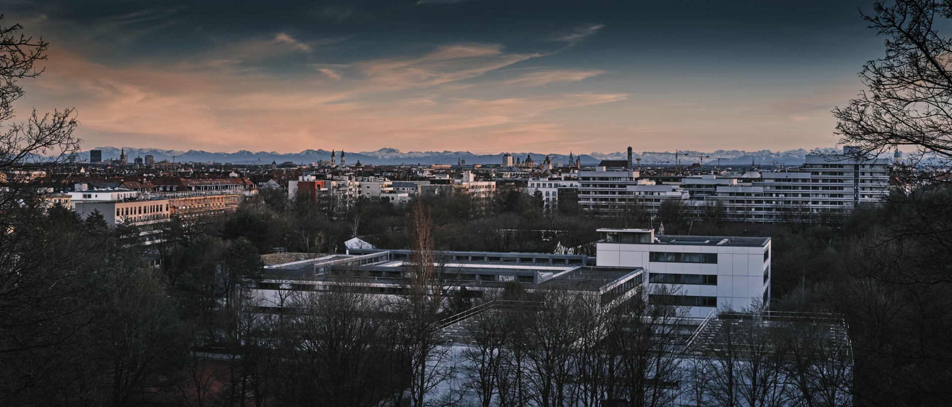 Thomas Willke   Kameramann   München