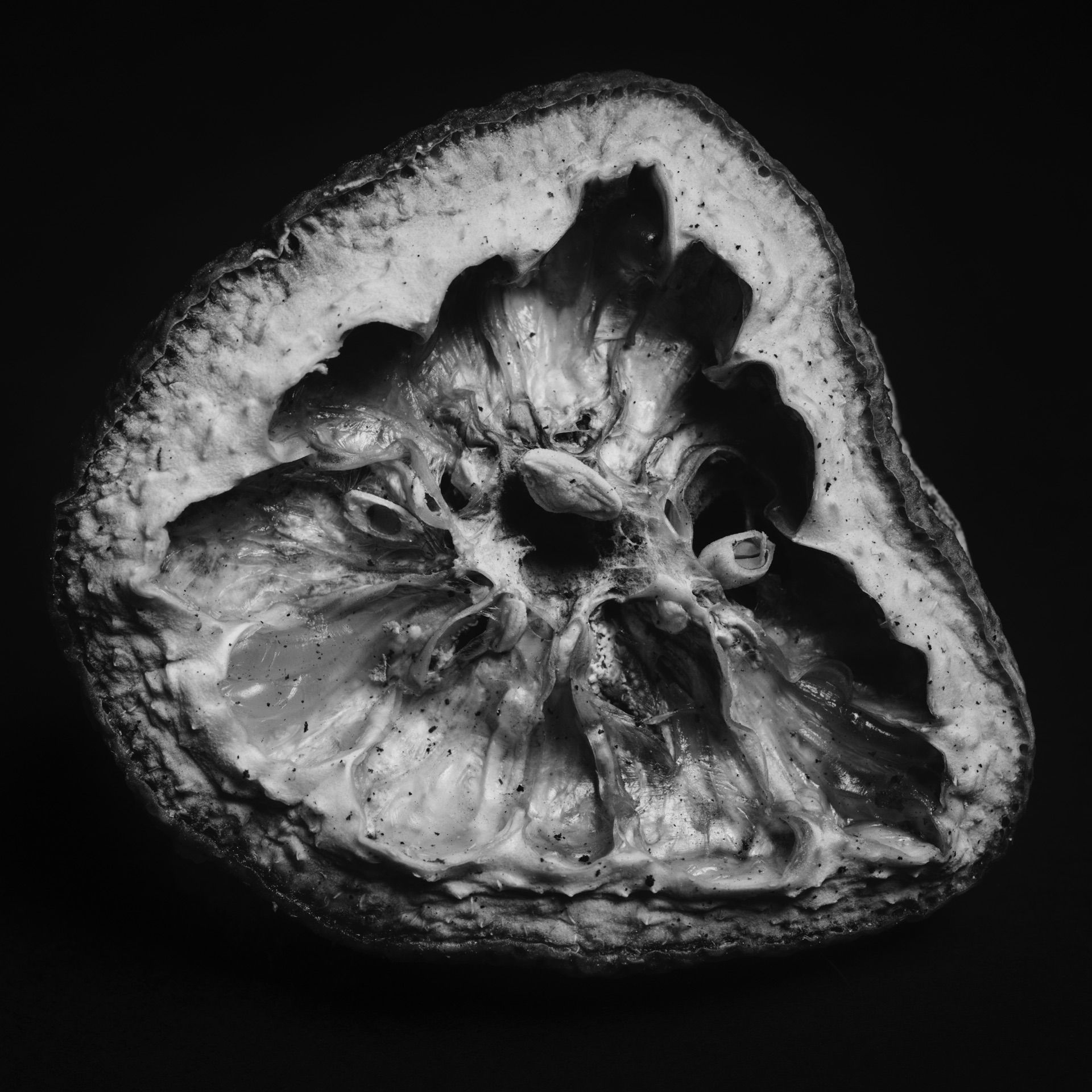 Thomas Willke &nbsp;&nbsp;Kameramann &nbsp;&nbsp;München