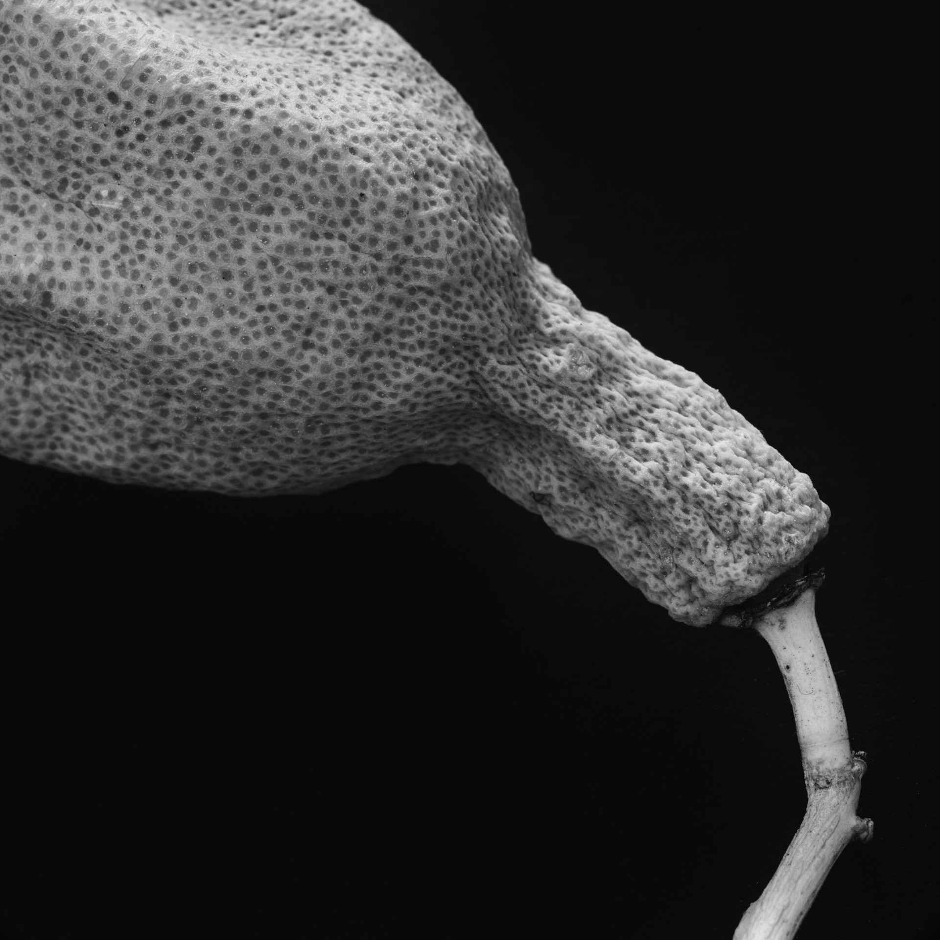 Thomas Willke &nbsp;&nbsp;Kameramann &nbsp;&nbsp;München