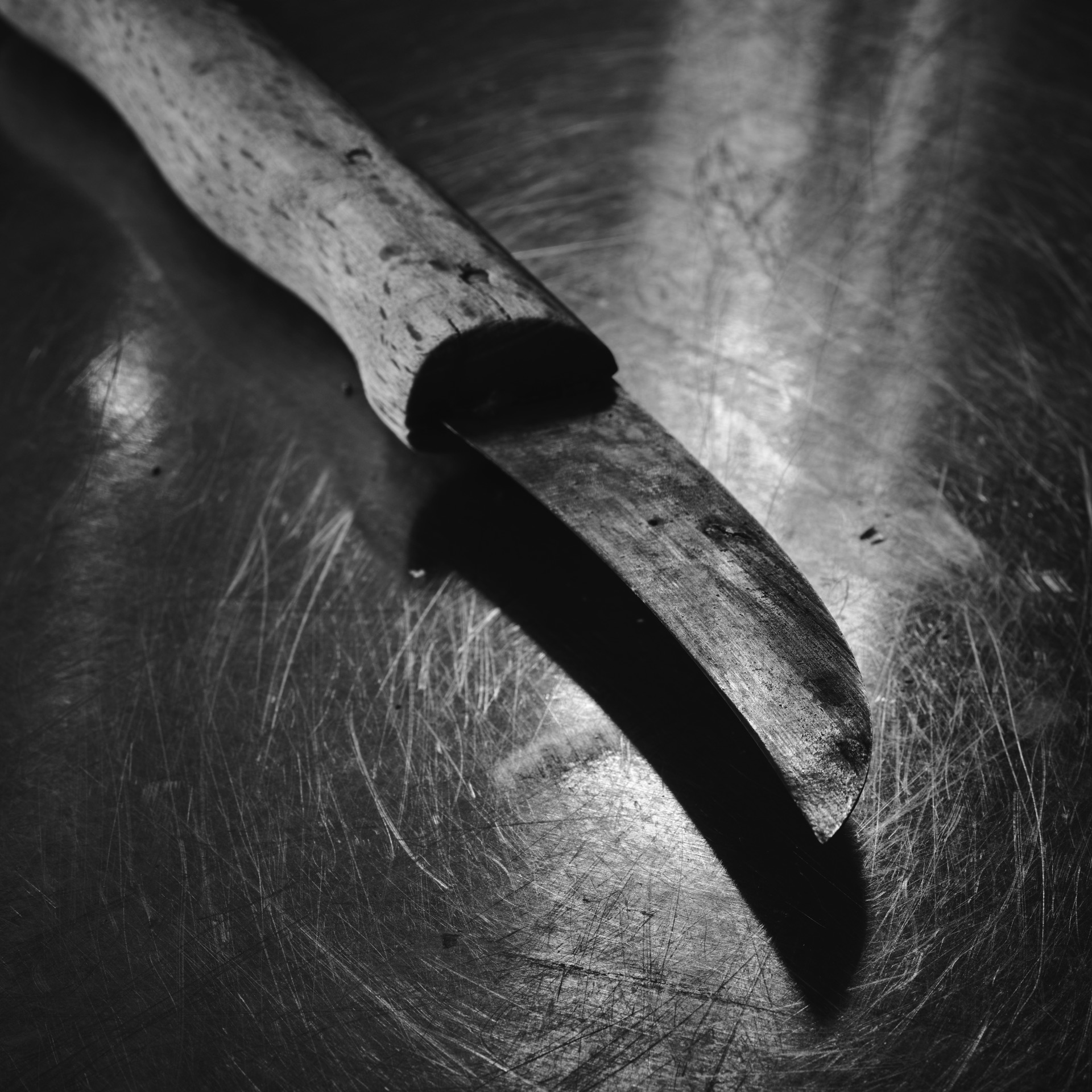 Thomas Willke &nbsp;&nbsp;Kameramann &nbsp;&nbsp;München