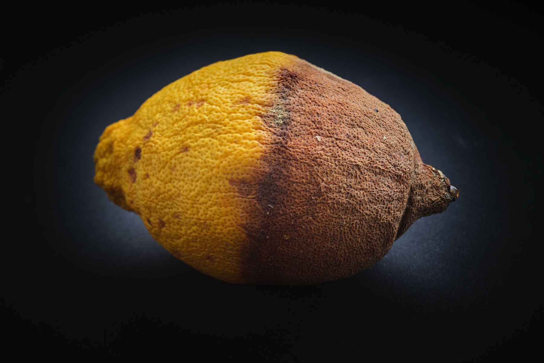 Thomas Willke   Kameramann   München