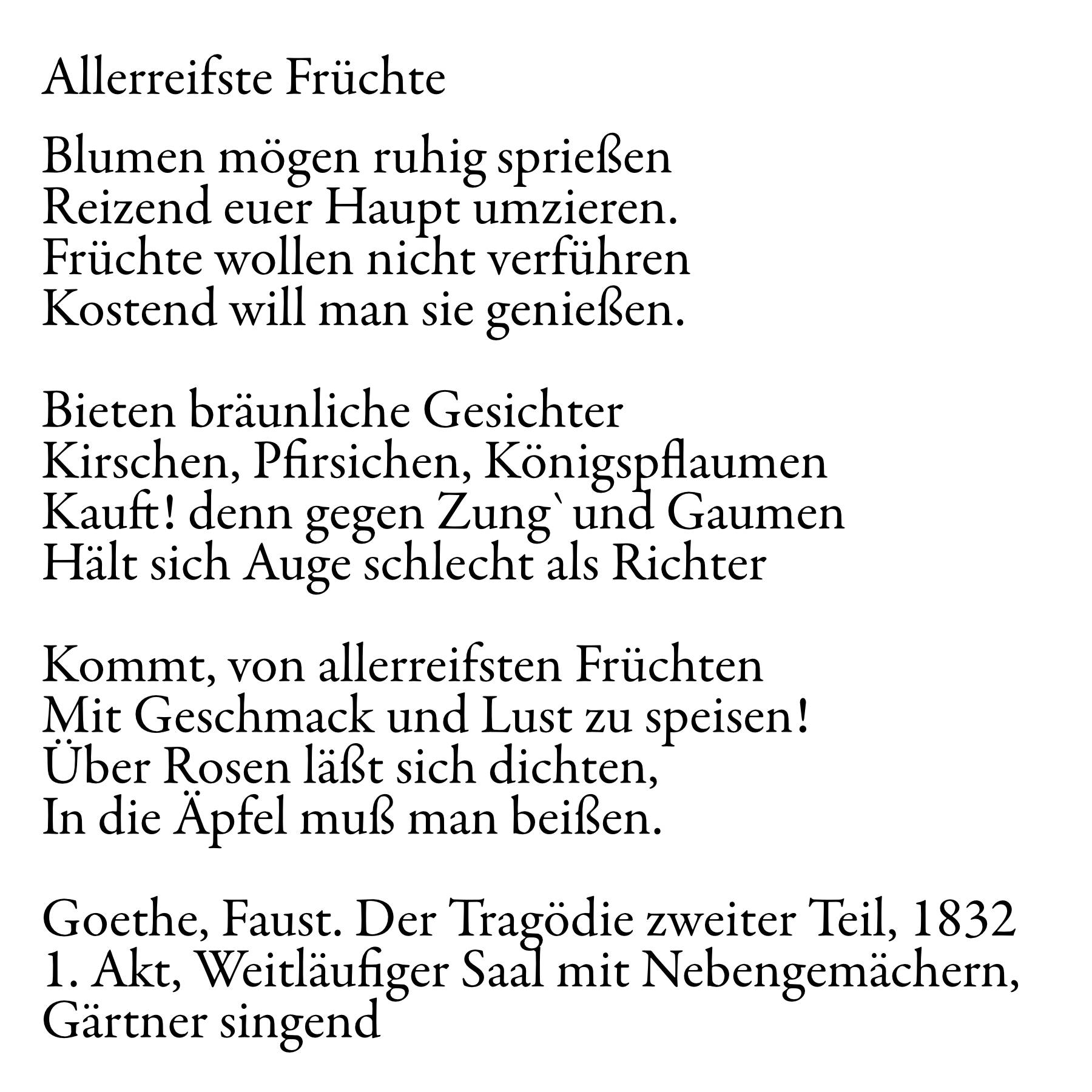 Thomas Willke &nbsp;&nbsp;Kameramann &nbsp;&nbsp;München