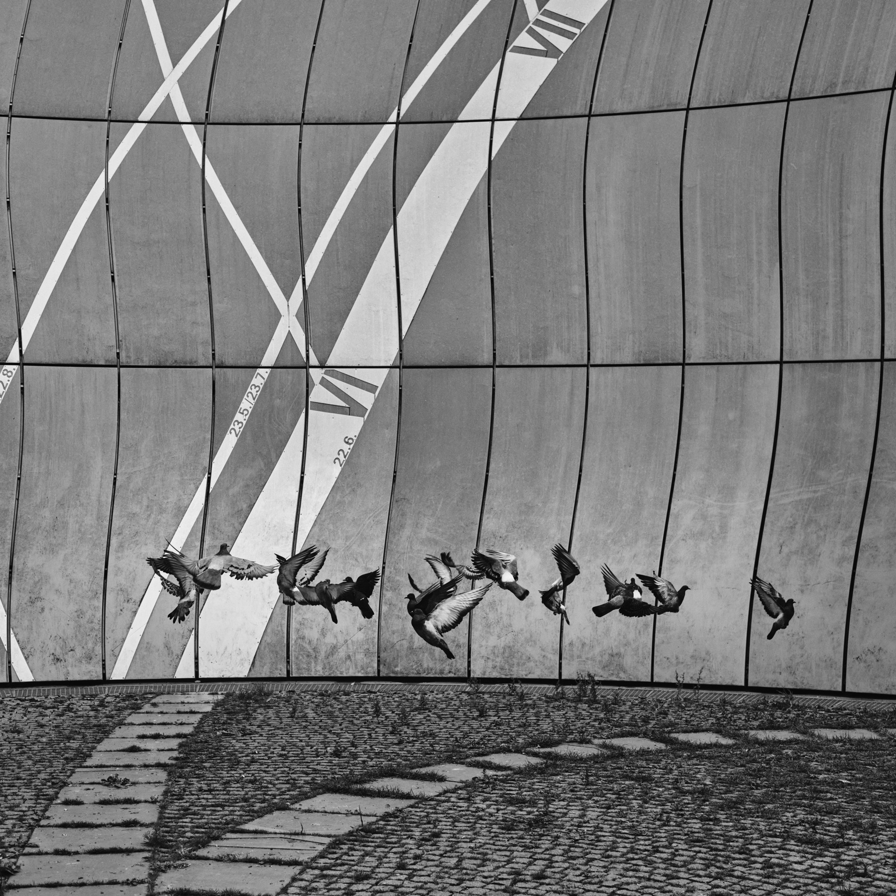 Thomas Willke   Kameramann   München